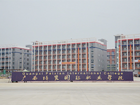 广西培贤国际手艺学院