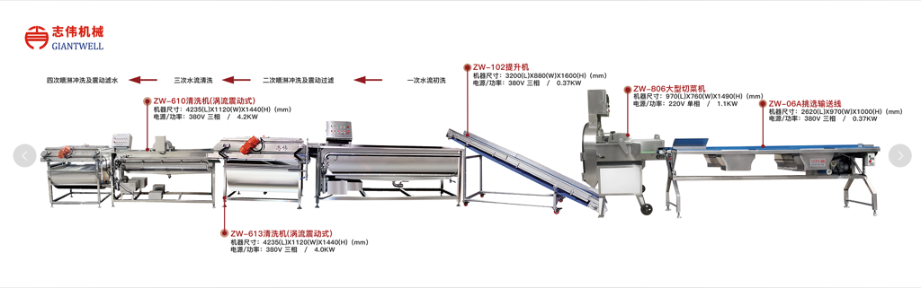 叶菜类净菜加工线